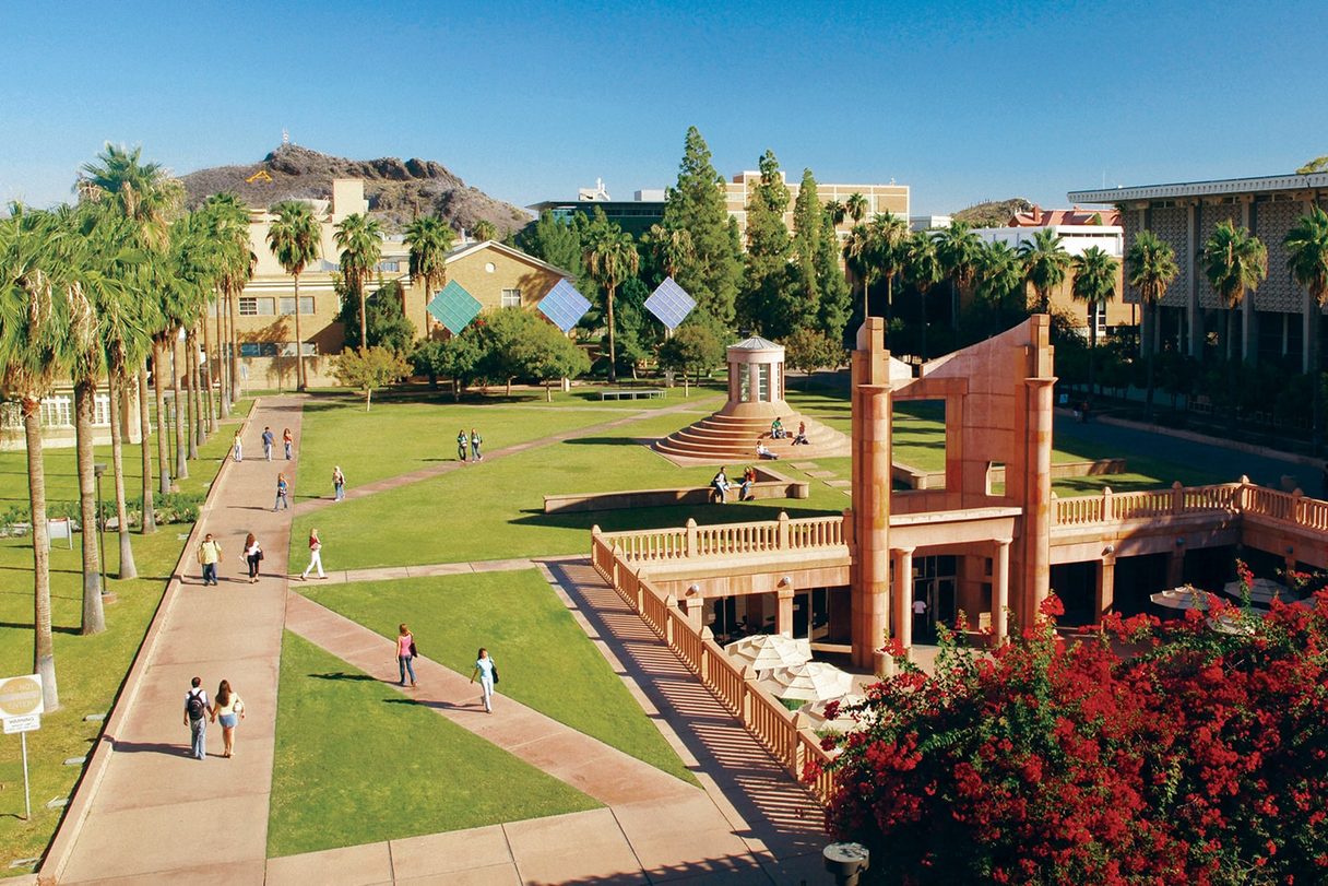 Grass, Plant, Nature